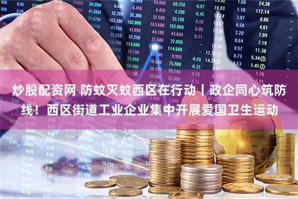 炒股配资网 防蚊灭蚊西区在行动丨政企同心筑防线！西区街道工业企业集中开展爱国卫生运动