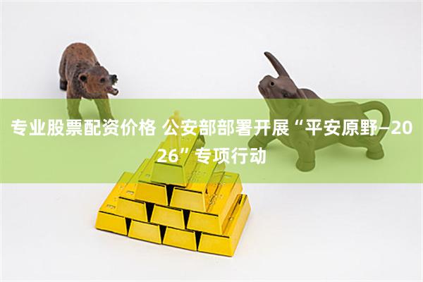 专业股票配资价格 公安部部署开展“平安原野—2026”专项行动